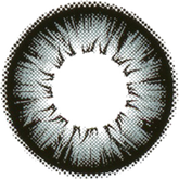 GEOLICA Holi Cat XHC-50X