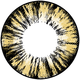 WP-B64