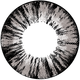 WP-B65