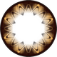 NPW-C14 Starry Braun