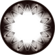 NPW-C15 Starry Grau