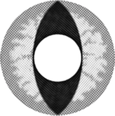 EOS Drachenaugen