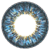 EOS Big Eyes Sun Flower