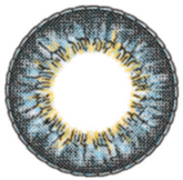 EOS Big Eyes Sun Flower