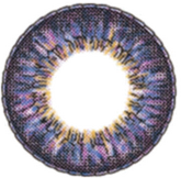 EOS Big Eyes Sun Flower