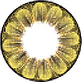 EOS Big Eyes Daisy 3T