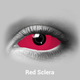 Red Sclera